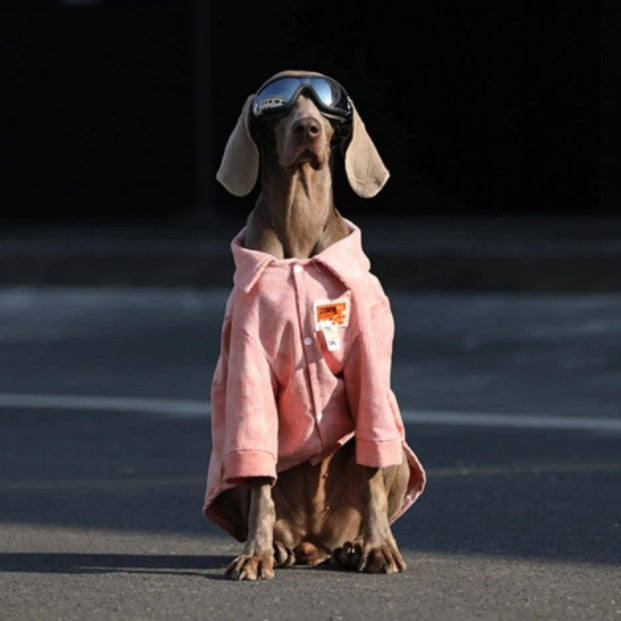 Pink dog jacket with front button closure, relaxed fit