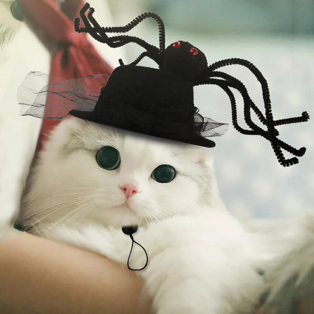 Black plush spider hat with long webbed legs and tiny red eye details