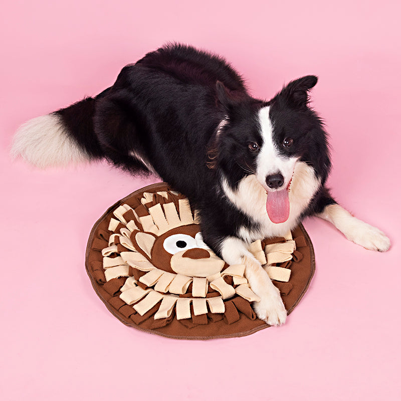Snuffle Mat Feeding & Foraging Stress Relief Puzzle Toy