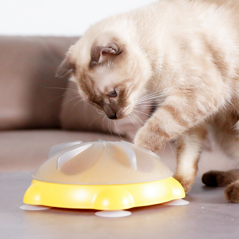 Educational Toys For Pets