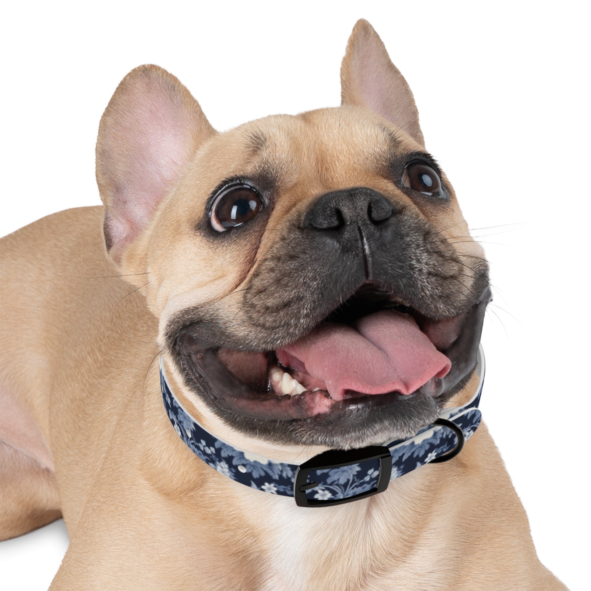 Midnight Blue Garden in Bloom Pet Collar — Waterproof TPU, 4 Buckle Finishes, S–XL