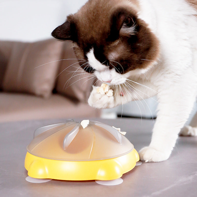 Educational Toys For Pets