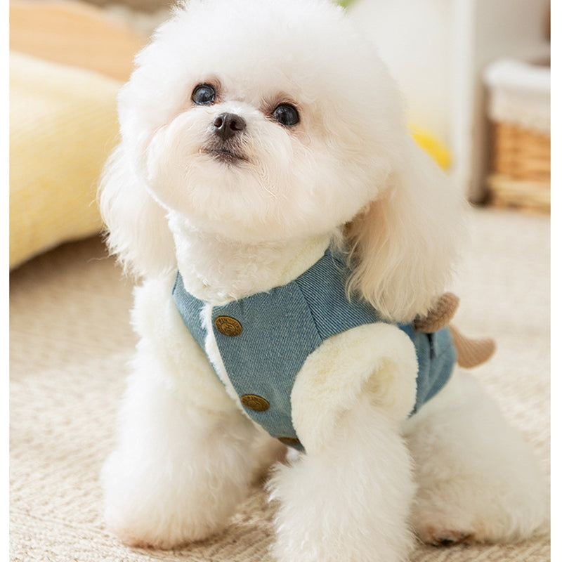 Small dog wearing blue denim pet vest with teddy bear pocket and plush trim
