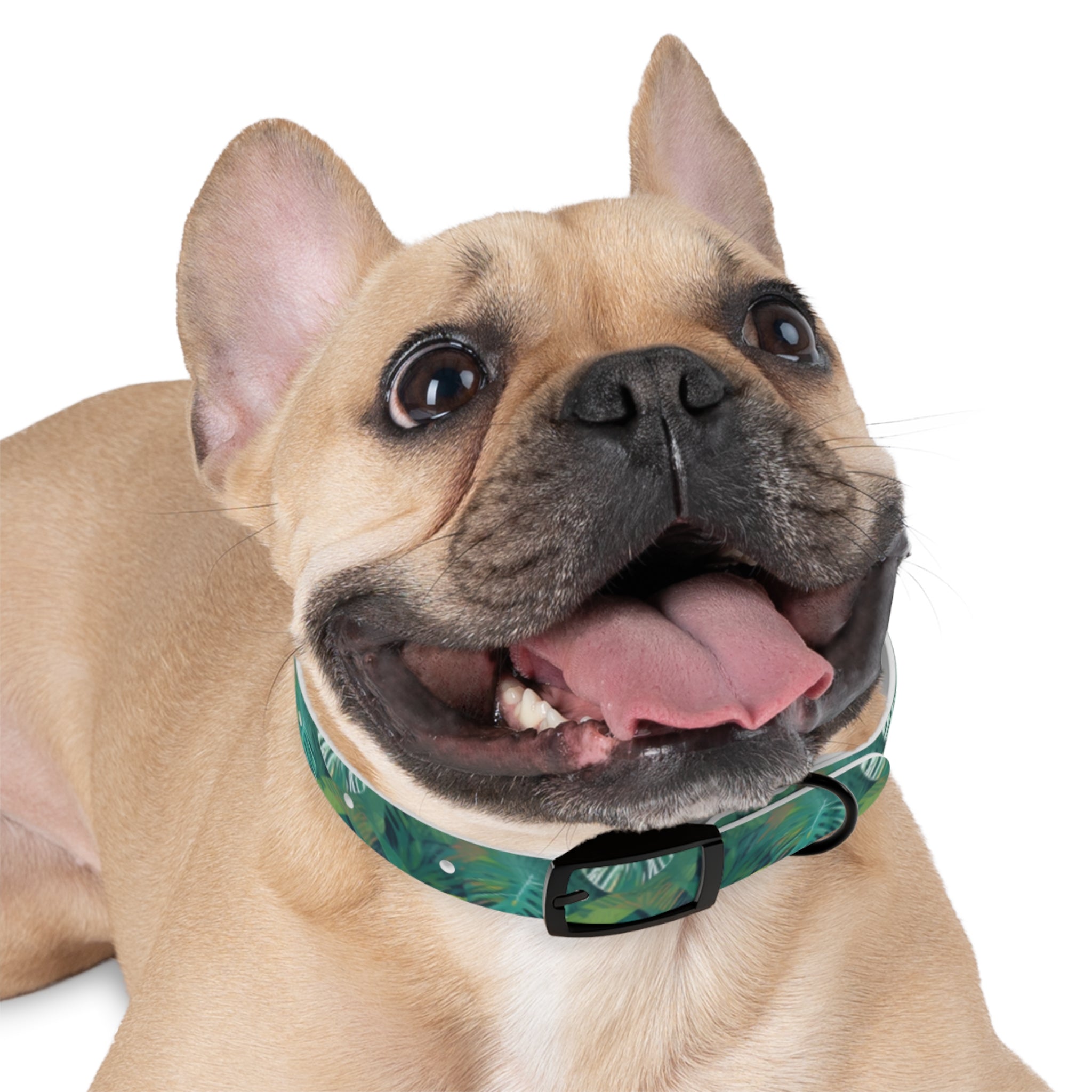 Emerald Canopy Tropical Leaves Pet Collar — Waterproof TPU, 4 Buckle Finishes, S–XL