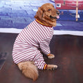 Red-and-white striped dog sweater with yellow trim, dog seated facing left