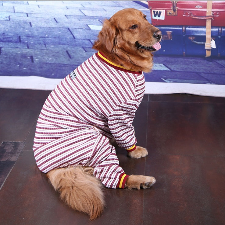 Red-and-white striped dog sweater with yellow trim, dog seated facing left