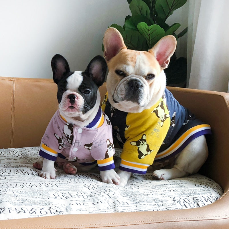 Winter dog coats on two dogs: light pink and yellow with purple striped trim