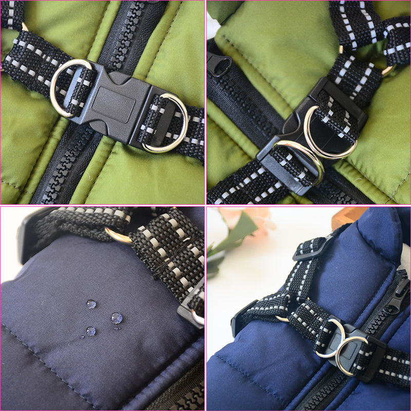 Dog coat harness close-up: olive straps, metal buckles, and black zipper