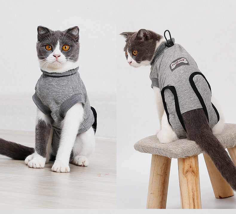 Gray cat recovery suit with bone patch at chest and black cutout openings
