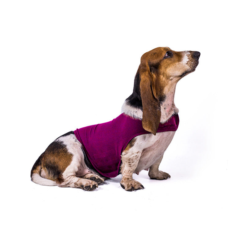 Pet calming anxiety vest, magenta fabric with front panel and arm openings