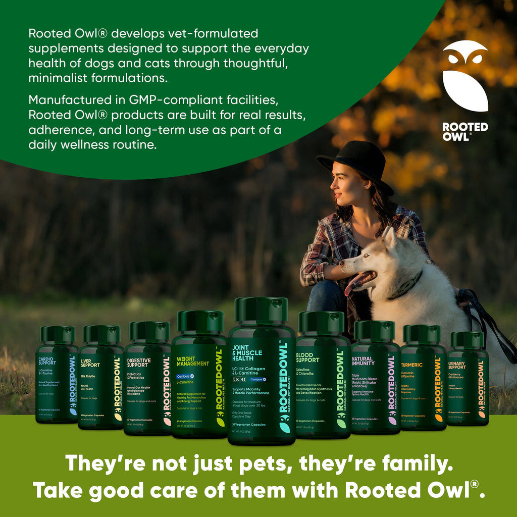 Rooted Owl supplement bottles lineup with a person holding a dog in a wellness scene.