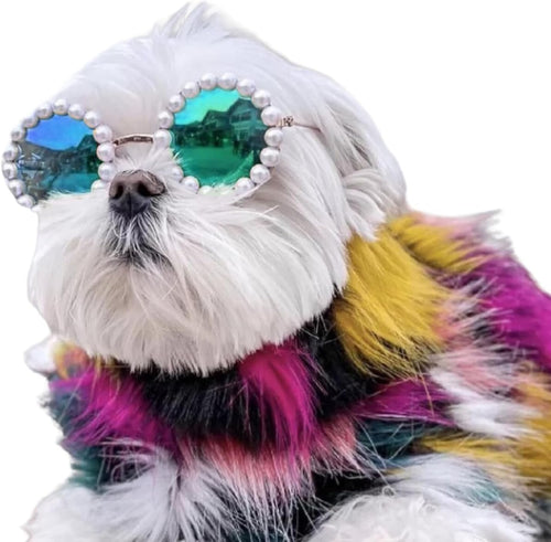 Pearl sunglasses accessory on a white dog with round blue lenses