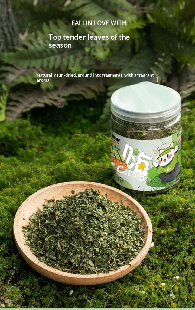 Catnip Cat Grass Treats