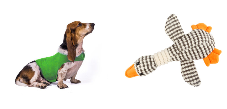 Pet calming vest on dog, dark green; houndstooth plush toy with orange accents