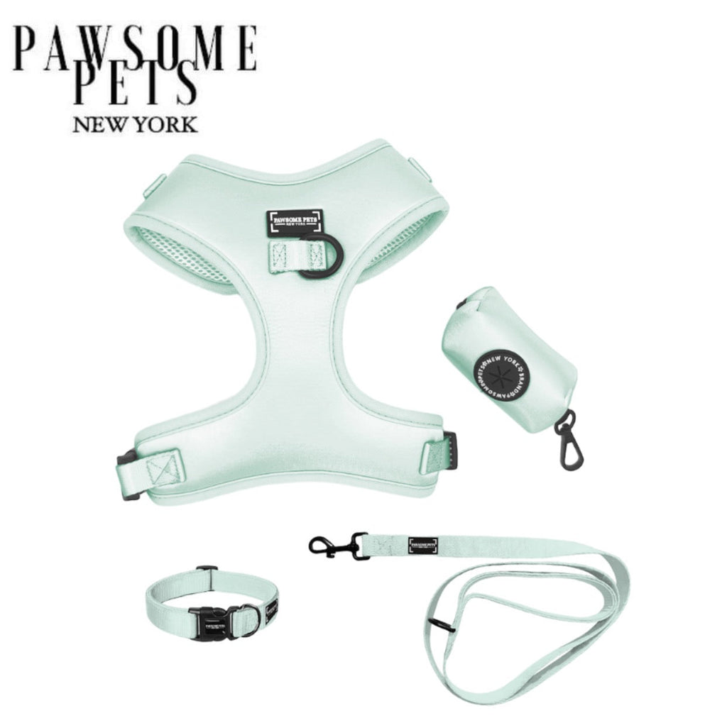 Mint green pet bundle: step-in harness with collar, leash, and clip waste-bag holder