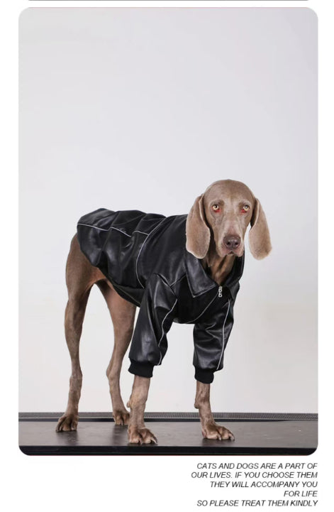 Black dog leather jacket with front zipper and ribbed cuffs, standing.