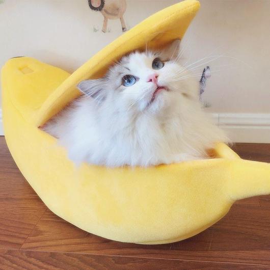 Yellow plush banana pet bed cradling a white cat curled inside