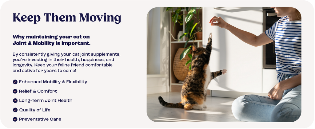 Keep them moving panel for Joint & Mobility cat supplement with cat on floor