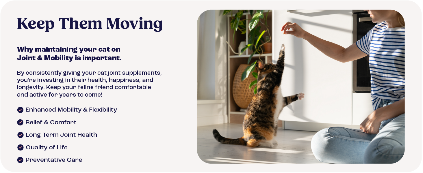 Keep them moving panel for Joint & Mobility cat supplement with cat on floor