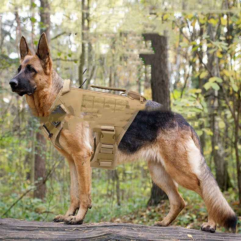 Tan tactical dog harness with chest plate, buckles, and padded straps