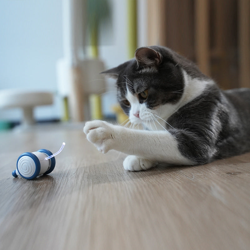 Electric cat mouse toy on floor, blue and white, near a cat paw.