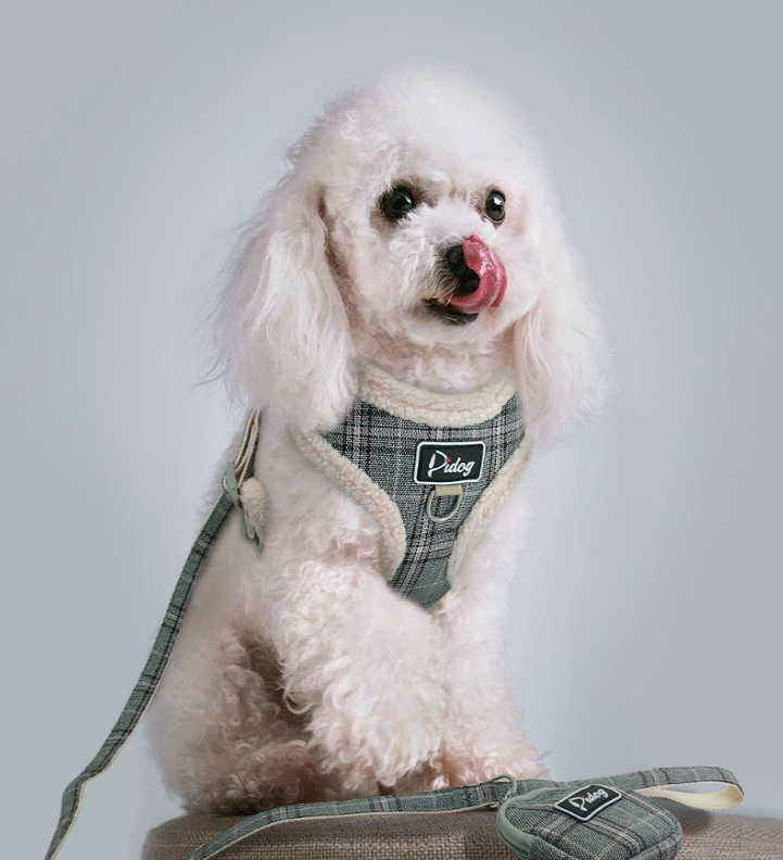 Olive/green fabric plush dog harness with matching leash and small pouch accessory.
