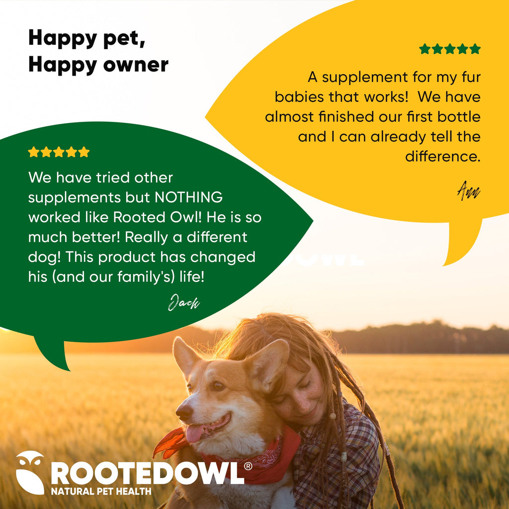 Dog and owner testimonial graphic with Rooted Owl branding and star rating.