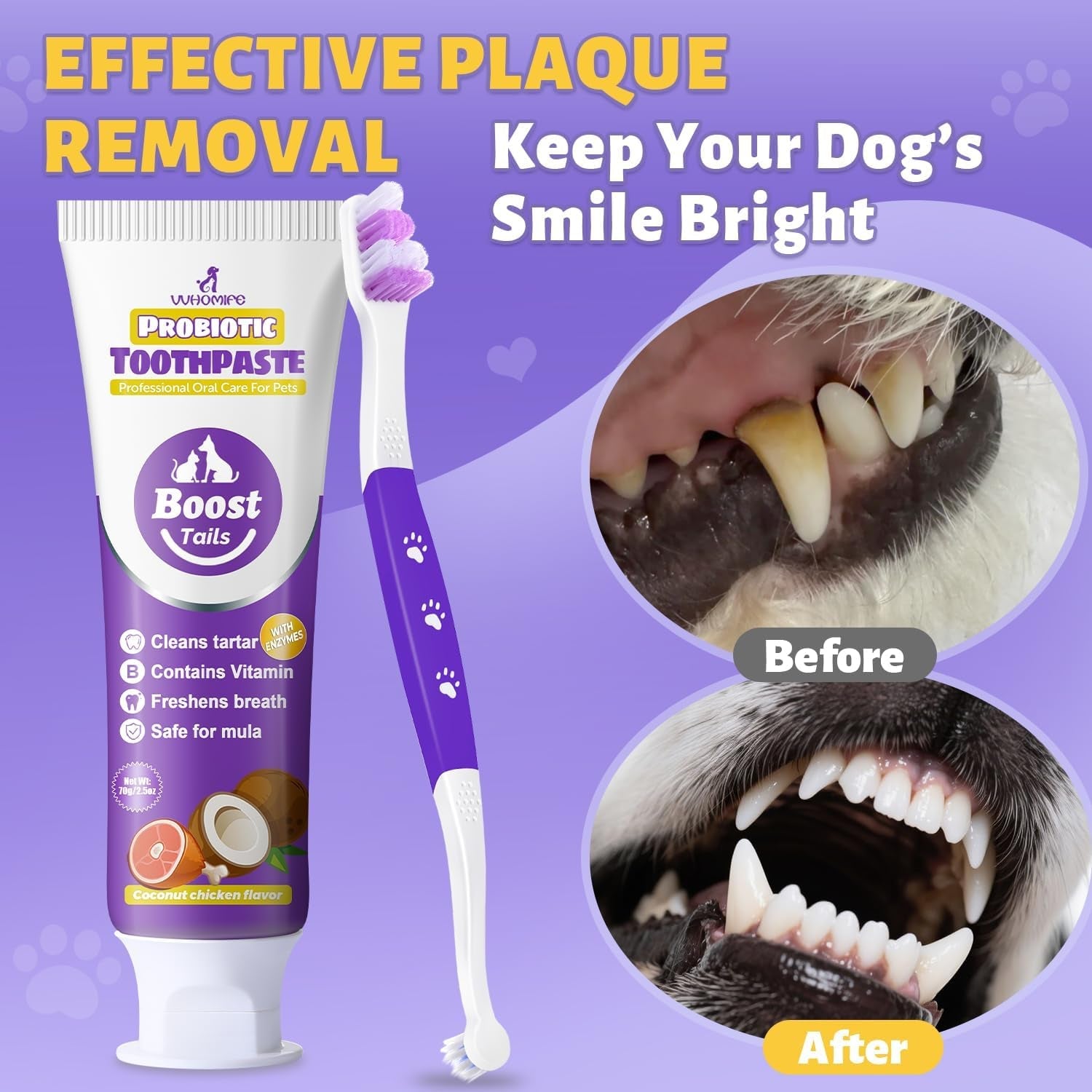 Probiotic toothpaste and toothbrush for plaque removal, dog mouth with visible teeth