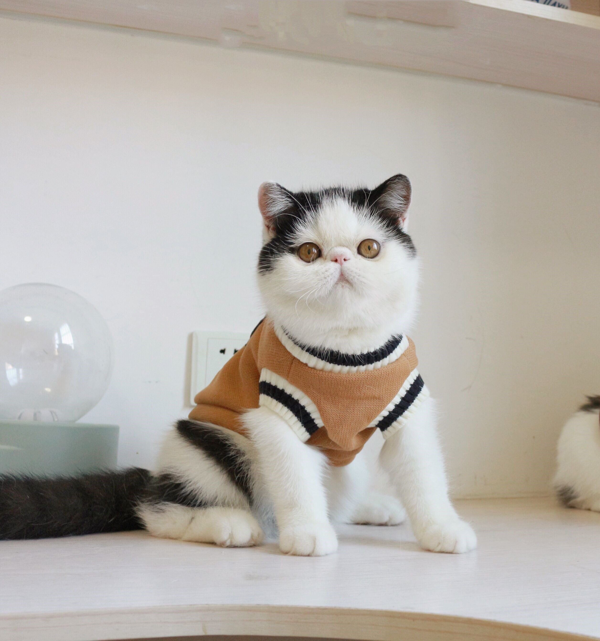 Sleeveless knit cat sweater vest, tan with black and white striped neckline.