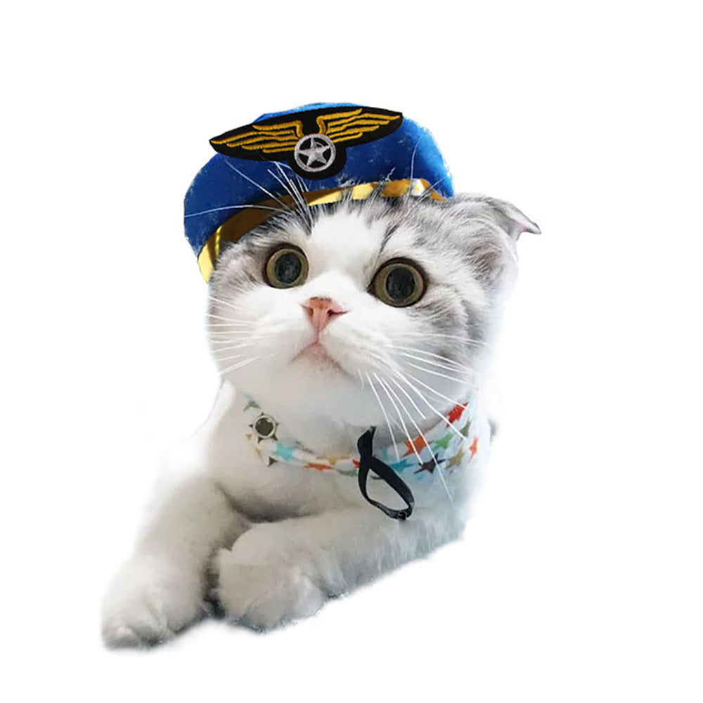 Blue pet hat with gold wing emblem and star patch, worn by a cat