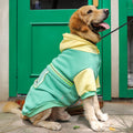 Mint green dog hoodie sweater with yellow hood and green stripe trim