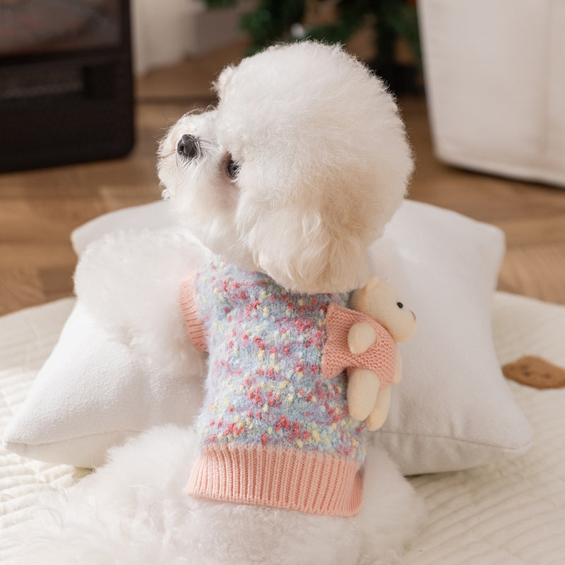 White pet wearing a multicolor knit sweater with teddy bear pocket