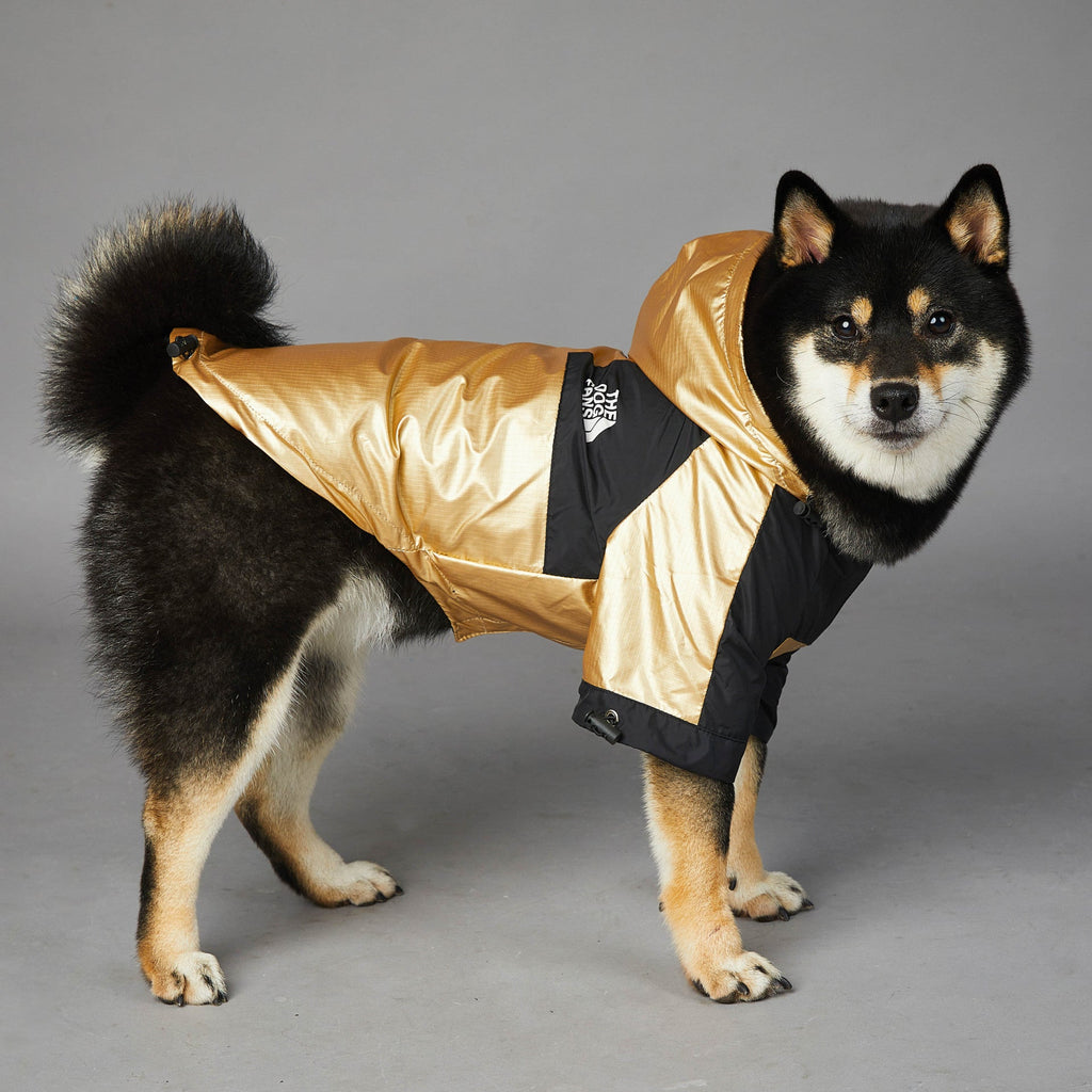 Gold and black dog large raincoat with hood, front zipper and velcro straps