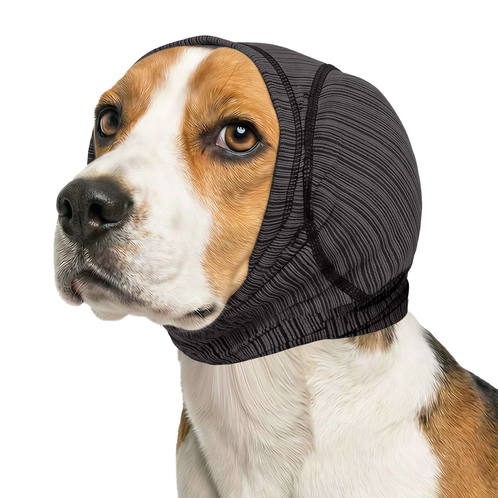 Dog wearing dark gray striped head ear cover wrapped around ears and head