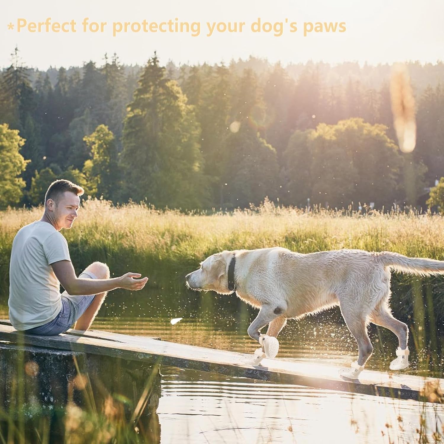Light-colored dog boots on a dog walking near a lake