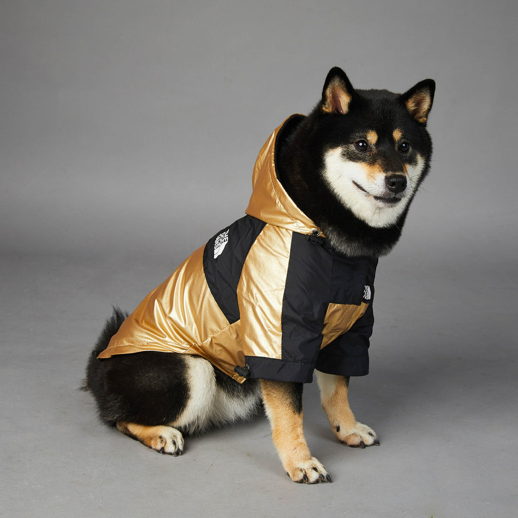 Gold and black dog raincoat with hood, side view, front zipper and fastening straps