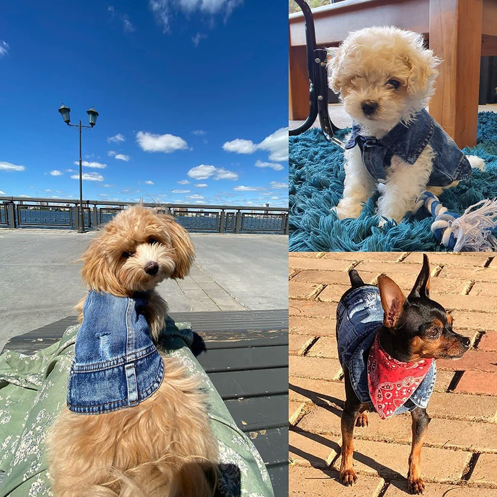 Blue Denim Dog Jacket — Classic Jean Vest Coat for Small & Medium Dogs and Cats