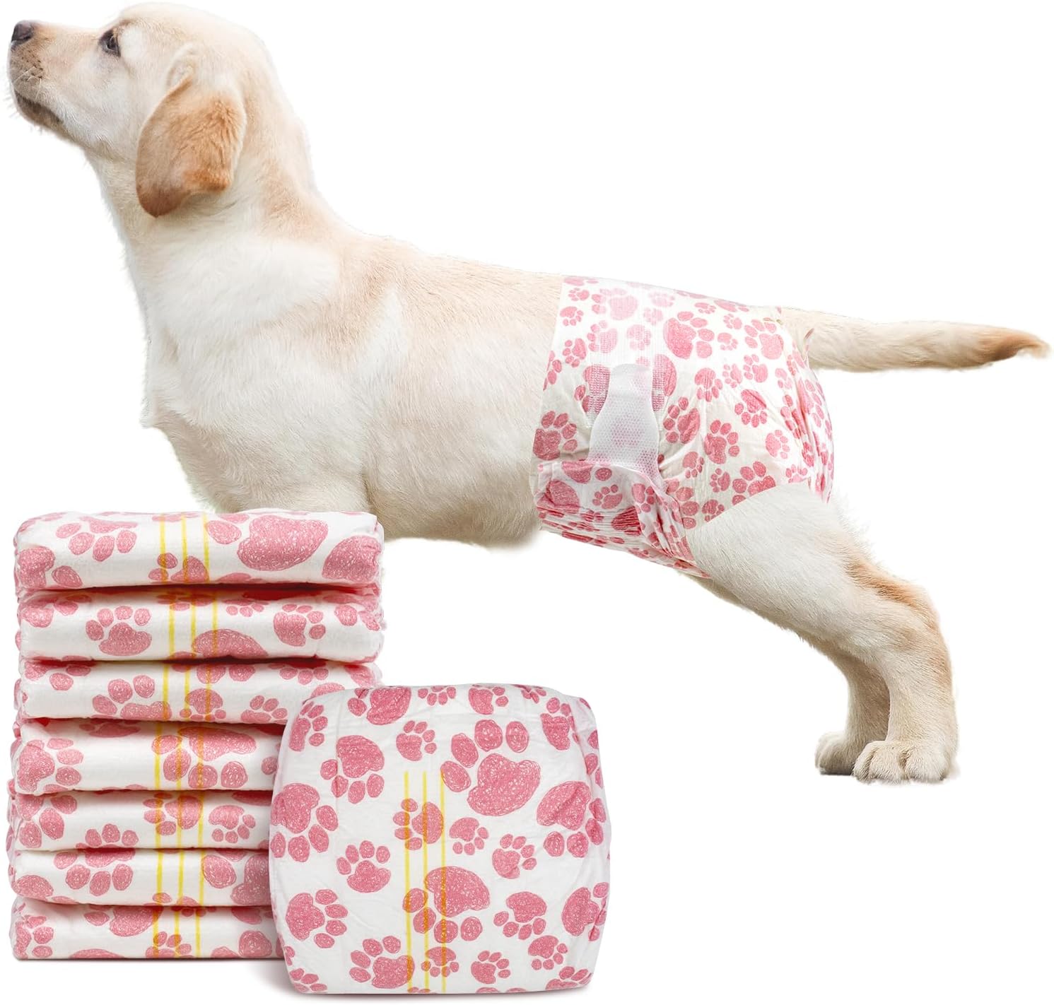 Disposable dog diaper on small white dog, pink paw print wrap with folded stack of diapers