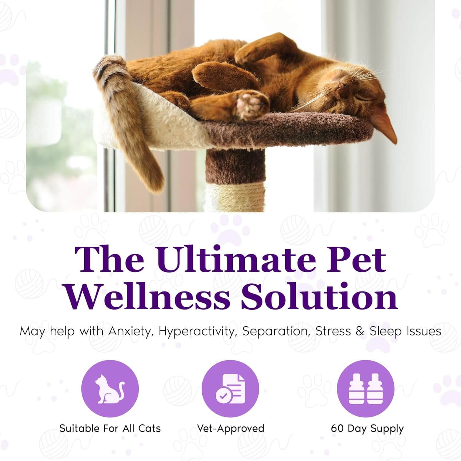 Cat calming diffuser lifestyle graphic with orange tabby cat on scratching perch