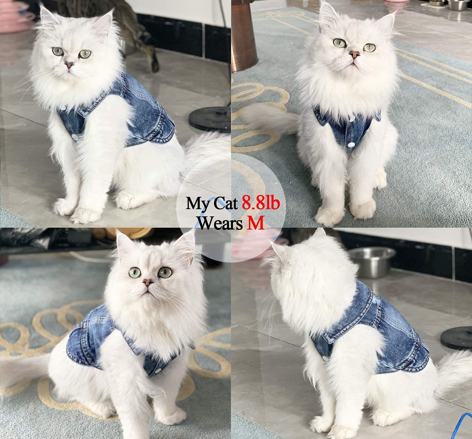 Blue Denim Dog Jacket — Classic Jean Vest Coat for Small & Medium Dogs and Cats