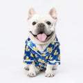 Bulldog wearing blue duck-print pet jacket with short sleeves and button front