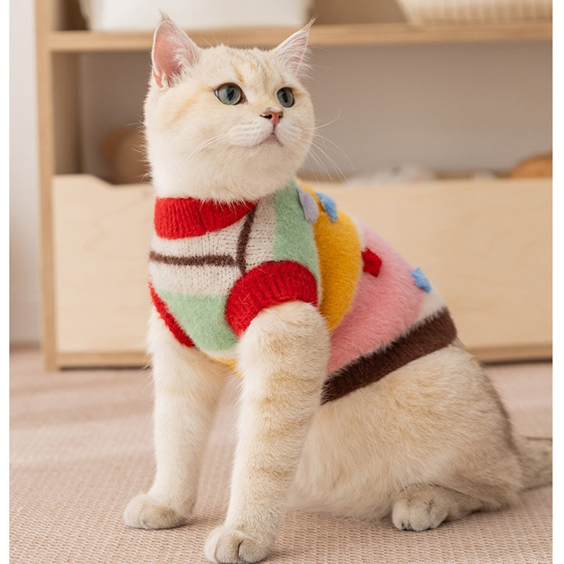 Cat wearing pet sweater, multicolor striped knit with red collar and blue star detail