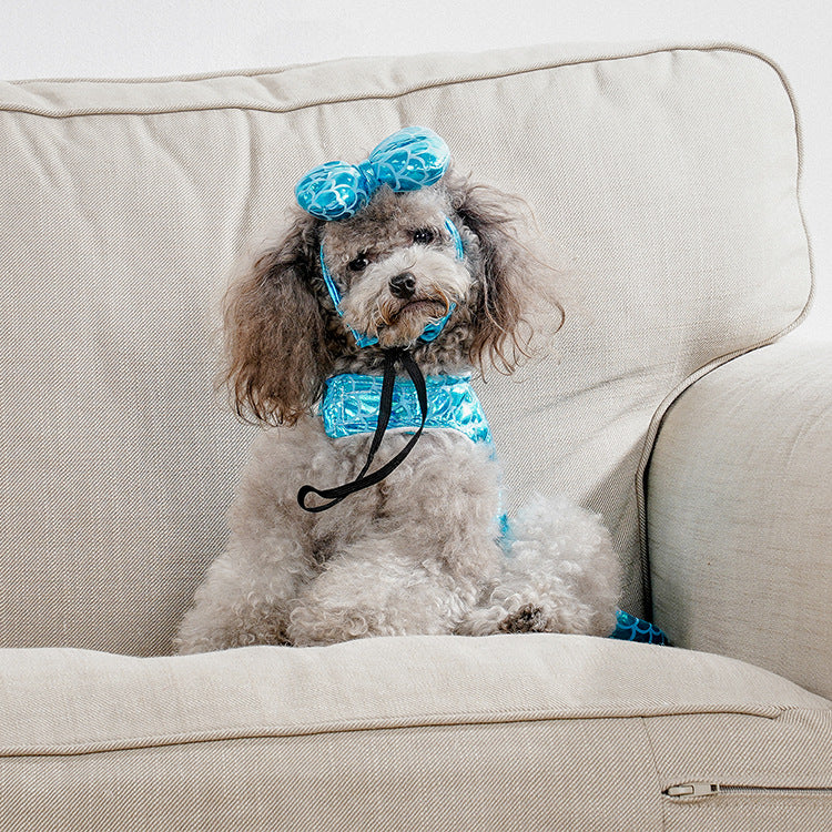 Small dog sitting on a couch wearing a blue mermaid pet outfit with head bow
