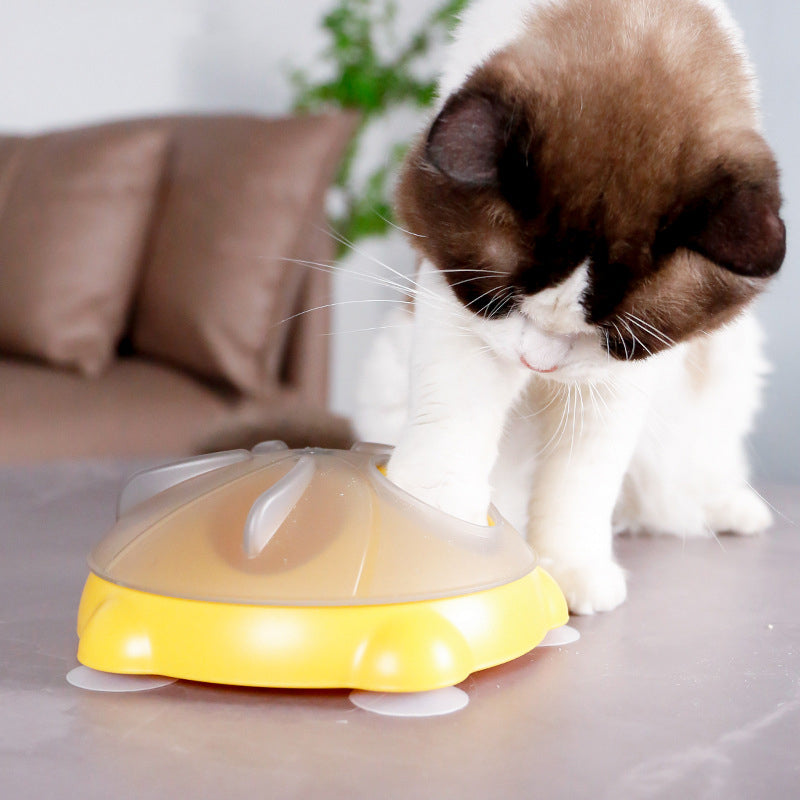 Educational Toys For Pets