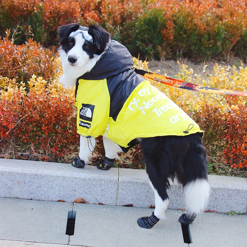 Windproof Waterproof Reflective Dog Rain Jacket — Hooded, Lightweight, Sizes S–5XL