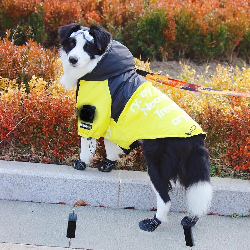 Windproof Waterproof Reflective Dog Rain Jacket — Hooded, Lightweight, Sizes S–5XL