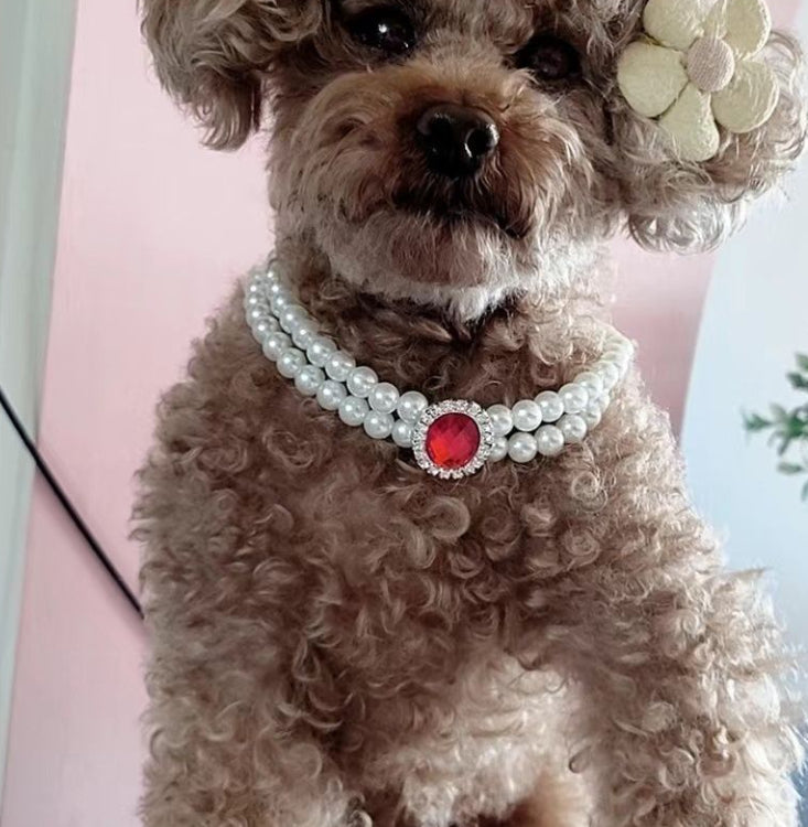 Pearl cat pet collar with red round gem and jeweled border