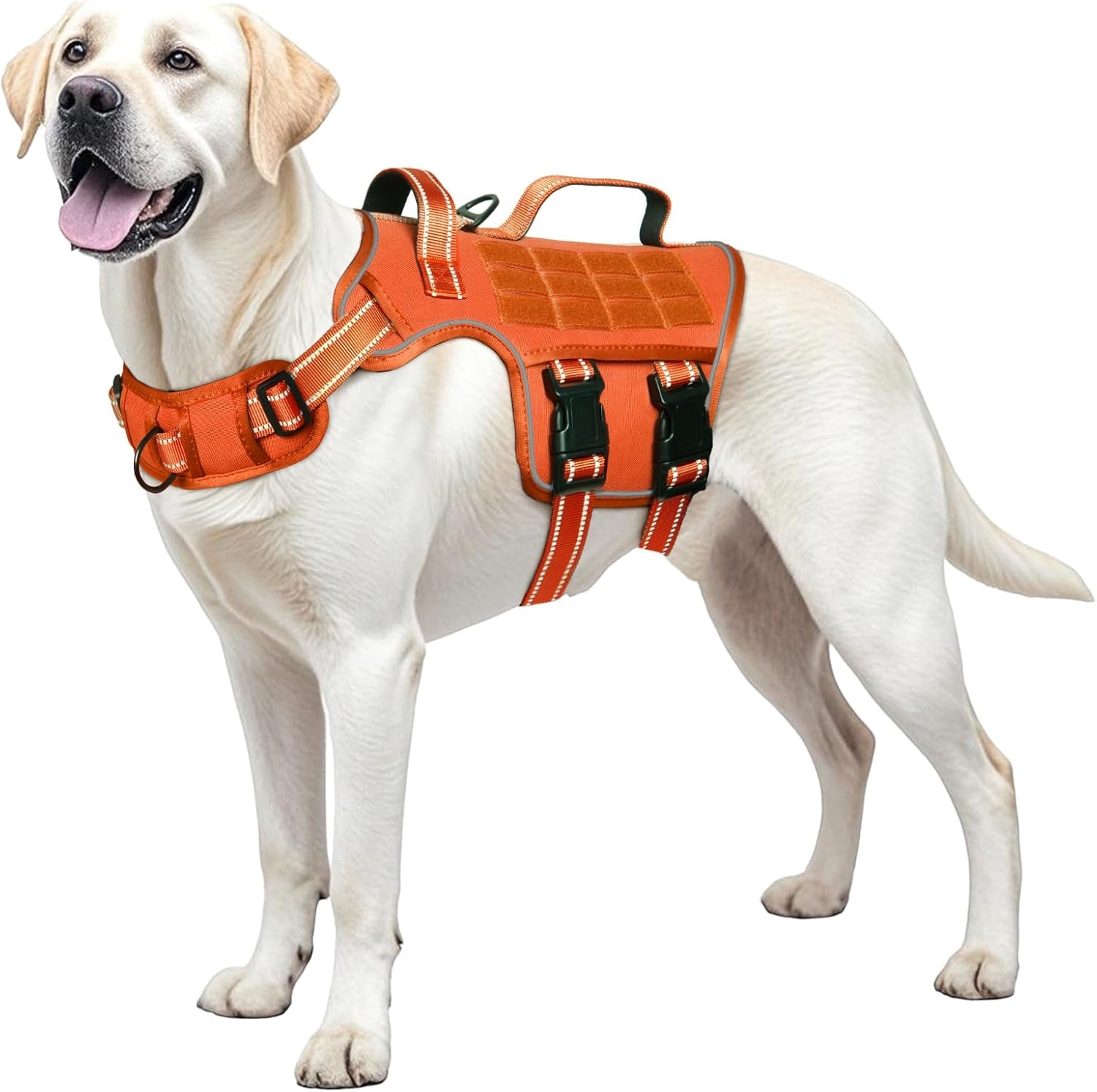 Dog tactical harness vest in orange with quilted chest panel and front buckle straps