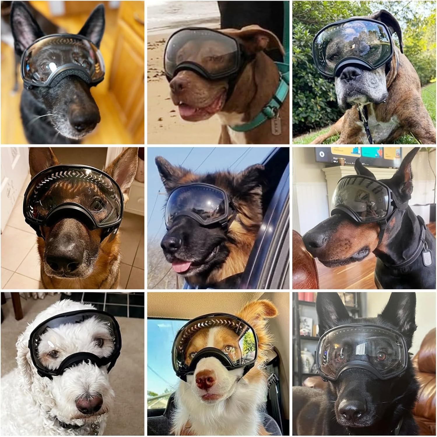 Motorcycle Dog Goggles Tactical Windproof For Large Dog