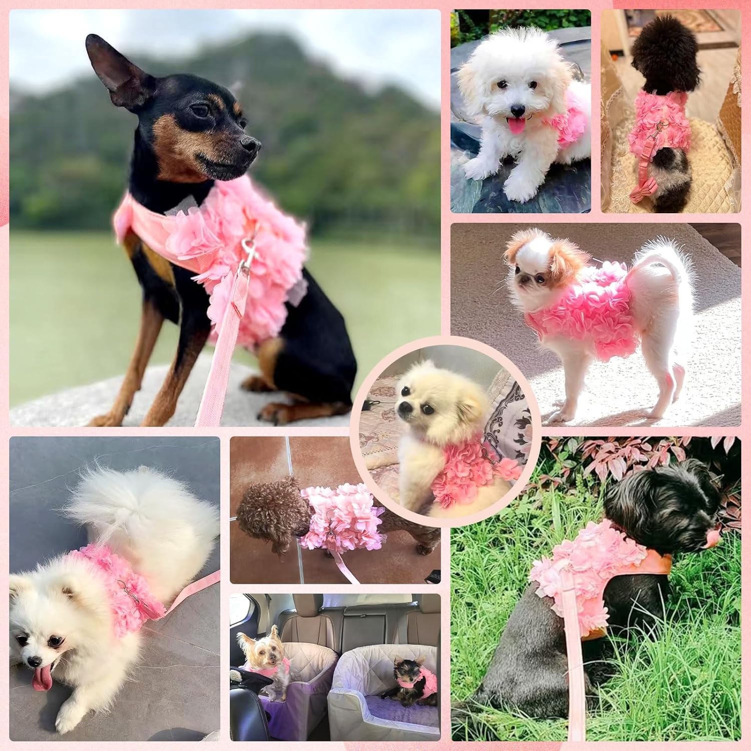 Boutique Floral Dog Harness and Leash Set – 3D Petal Puppy Vest Harness for Small Dogs & Cats